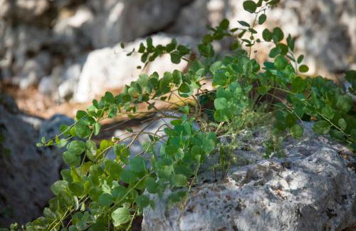 Casa Vacanze De Vita - Amazing view on the coast - Foto 56