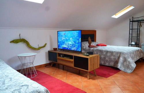 Lazy Lizard Studio - Foto 37