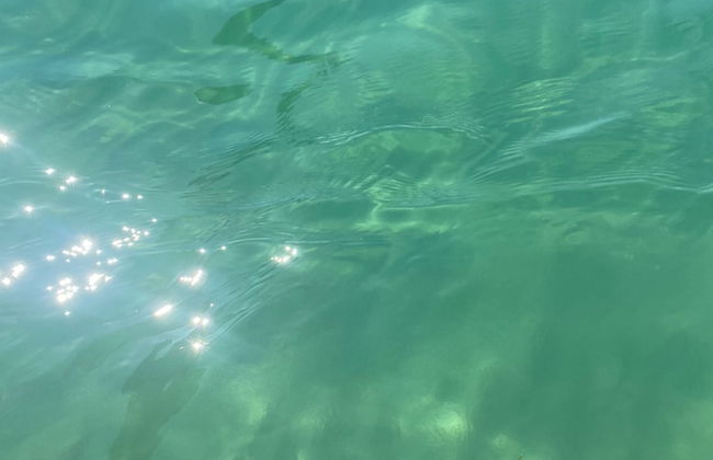 Home Close to the sea With Terrace and Free Parking - Foto 46