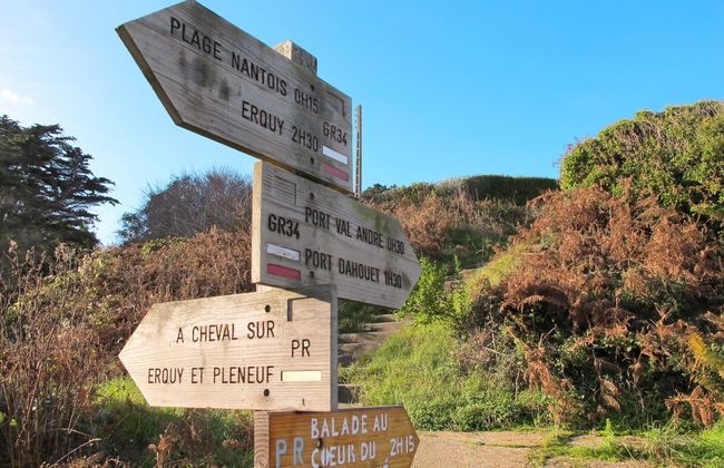 Marjolaine - Foto 21