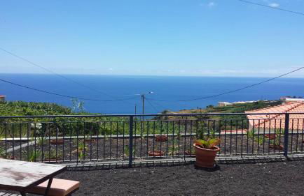 Paraiso das Flores - Foto 6