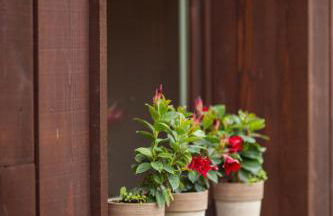 Quader nidi nel verde - Foto 61