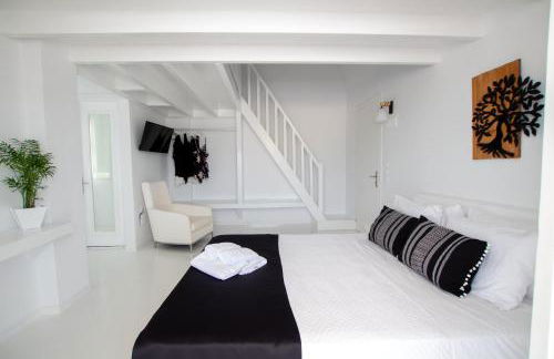 Alloro Perissa - Foto 31