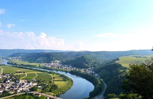 Ferienwohnung 'Moselzauber' - Foto 13