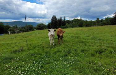 Gîte de la Ferme de la Comté - Foto 30