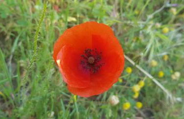 Sofia Mountain Getaway - Photo 3