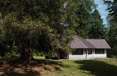 Dom Malowany - Domki - Foto 39