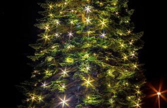 Ferienwohnung Ankerplatz - Foto 56