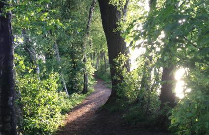 Oase auf dem Land - Foto 8