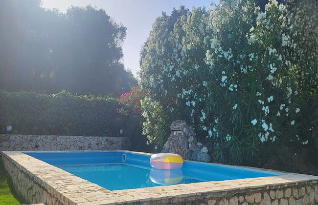 Villa in Afionas With Private Pool - Foto 9