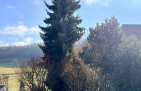 Gemütliches Zimmer direkt an der Grenze bei Basel - Foto 13