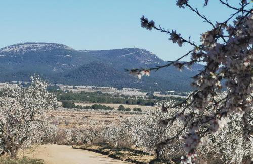 Casa Aurora, mi aldea ,entre viñas y almendros - Foto 35