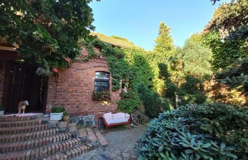 Avalon Połchowo - Foto 9