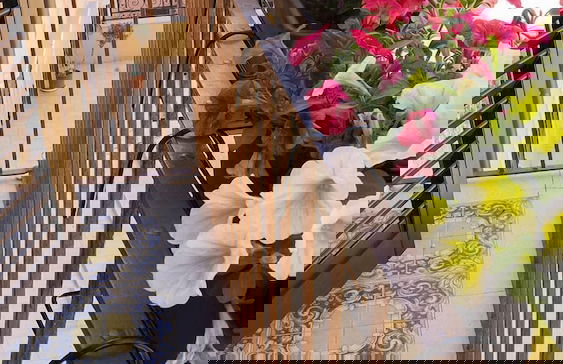 Duomo Guest House - Photo 13