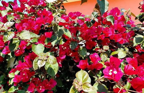 La Perla di Marzamemi - Foto 36