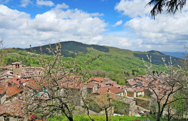 Bellavista + Villi - Foto 64