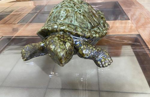 Bali Surya - Foto 33