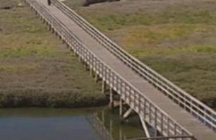 APTOS SOLAINA O PINDO - Foto 41