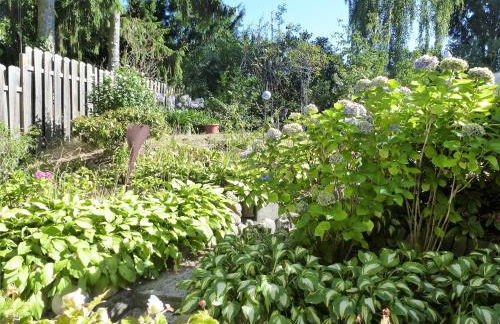 Schwalbennest - Foto 20