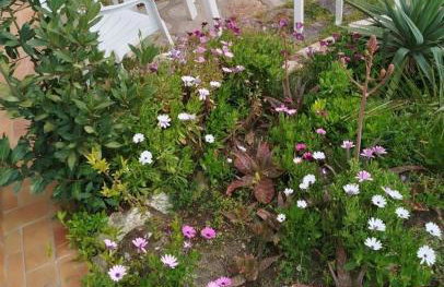 Villa climatisée, proche mer, 2 grands appartements indépendants, parking, wifi - Foto 38