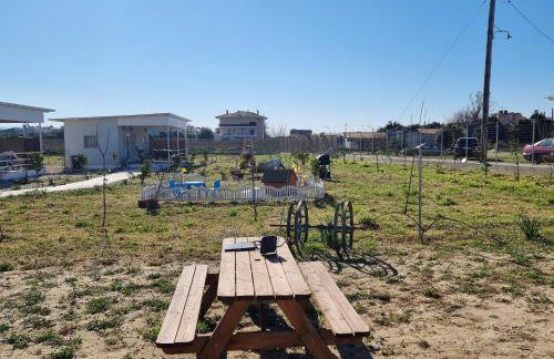 Agroktima Arta - Farm Stay - Foto 19