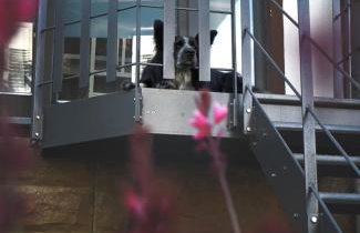 Ferienwohnung Am Stadtpark - Foto 22