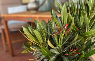 Brockenblick - Foto 21