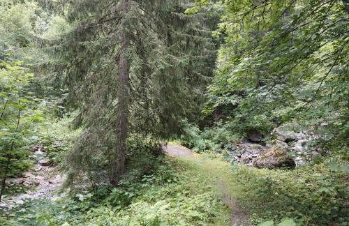 Le cheval blanc E7 - Photo 37