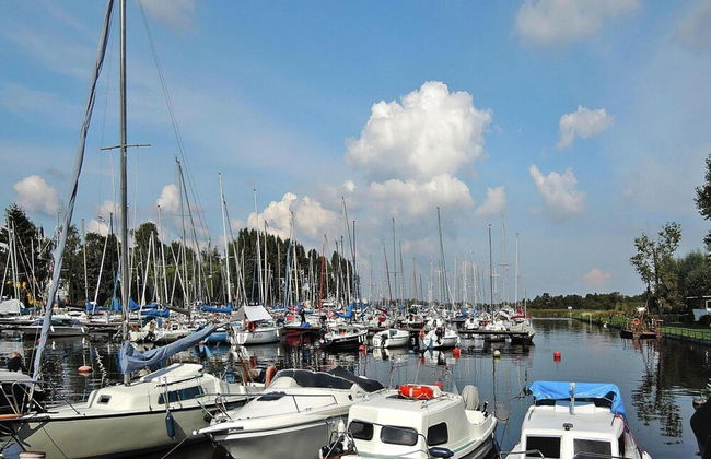 Agriculture - Studios, Borzyslawiec by Lubczyna - Photo 13