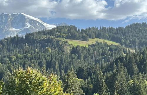 LE GL'ASSIE - Foto 13