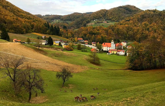 Old House Knezovo With Lovely View - Foto 20