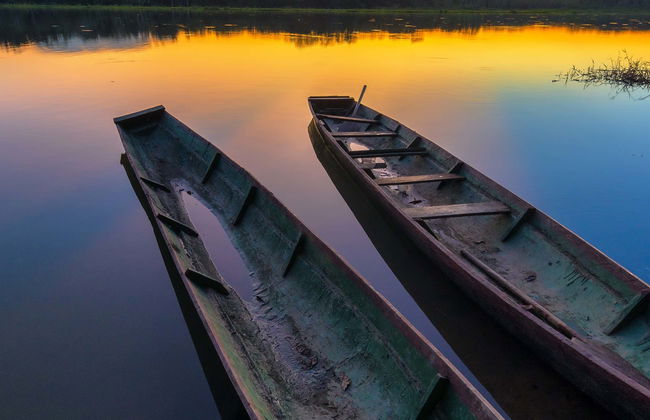 Excursión de 3 días por el Parque Nacional Madidi - Foto 1