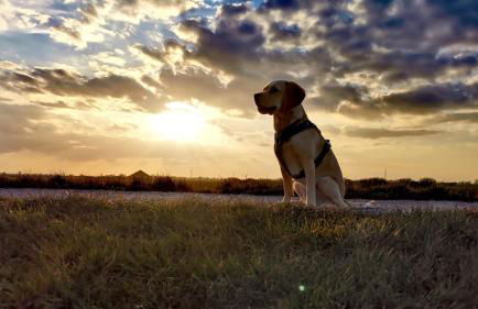 Ferienhaus Leuchtturm - Foto 26