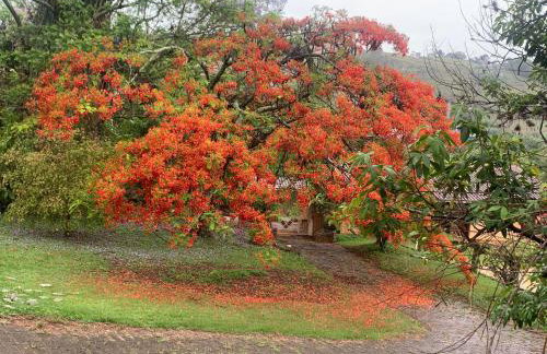Chácara da Dinda - Photo 61