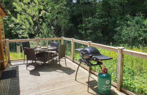 Swn Y Nant Lodge with hot tub Brecon - Foto 26