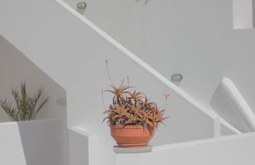 Kois Studios - Foto 54