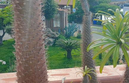 B&B "Raggio di Sole" - Foto 28