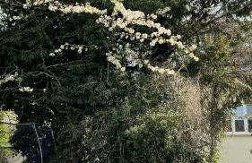 Modern-gemütliche Wohnung, ganz neu, in Neuenheim, Heidelberg - Foto 13