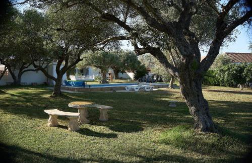 Villa with great garden and pool - Foto 34