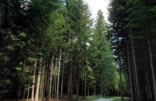 Casa al Dos - Foto 7