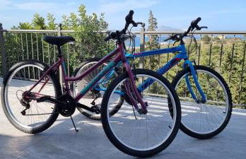 Villa YOLO - Photo 68