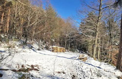 Studio en résidence, aux Trois-Epis - Foto 9