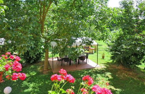 Pierotta Country House - Arezzo - Foto 8