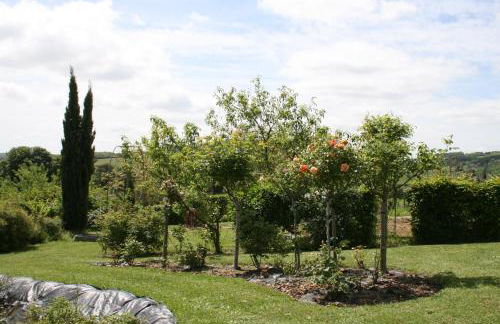 1 Bedroom House 20min walk to centre in Tournus - Foto 19