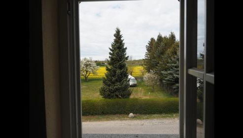 Ferienhaus Boddenhus - Foto 2, Garden view