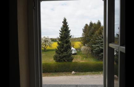 Ferienhaus Boddenhus - Foto 2