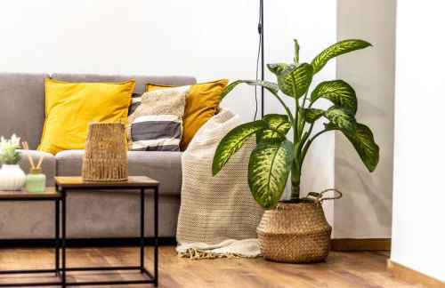 Casa Terenzio - Foto 41