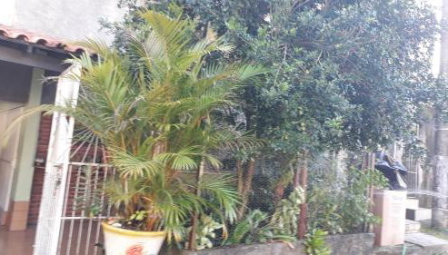 Pertinho da Mata - Foto 2