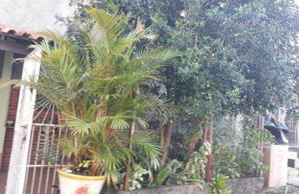 Pertinho da Mata - Foto 2