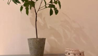 Roma Da Noi Suite - Foto 2